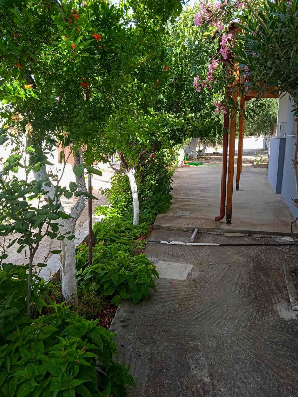 Κυανή Ακτή Βίλα Μάκρη Εξωτερικό φωτογραφία