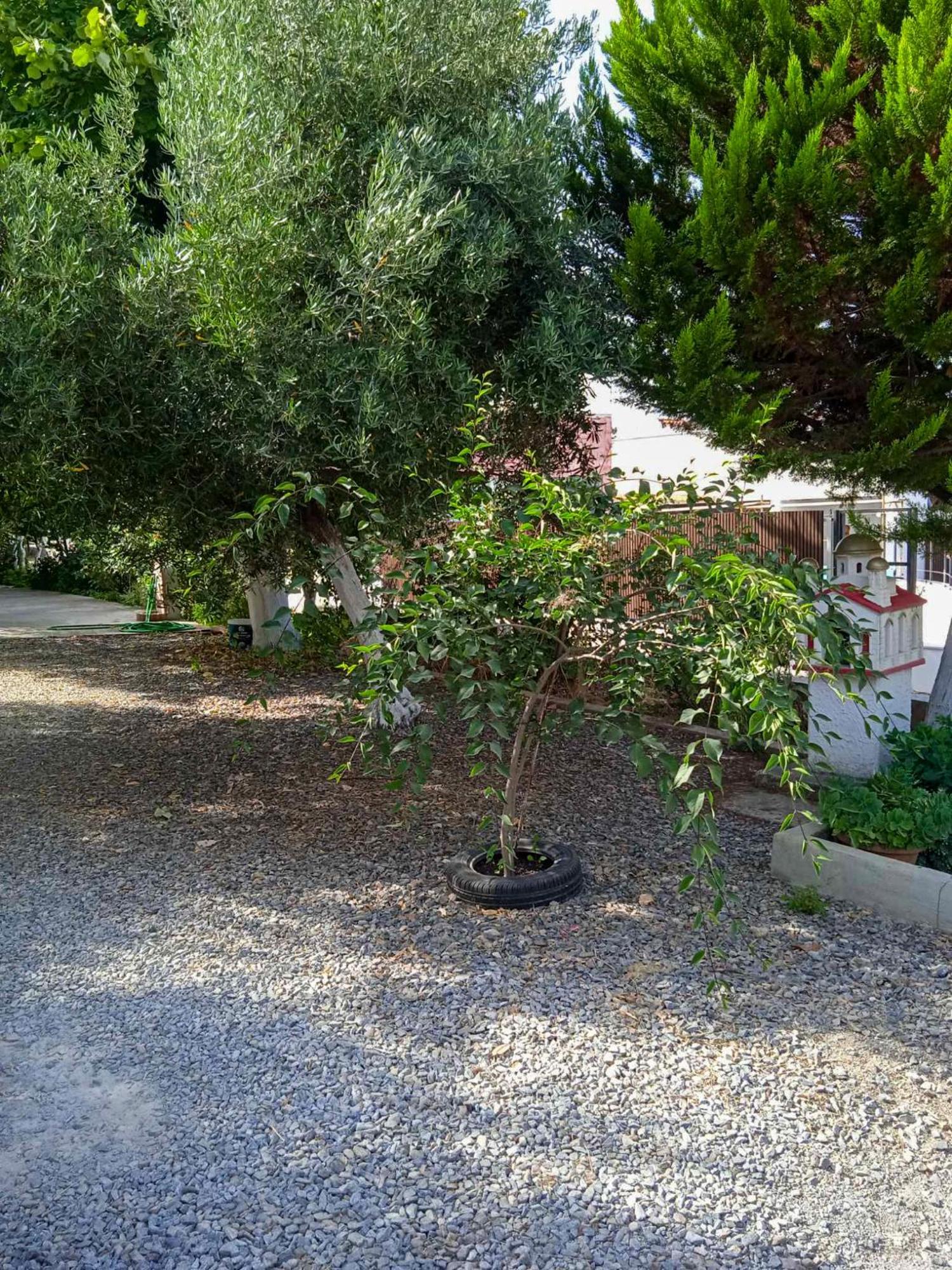Κυανή Ακτή Βίλα Μάκρη Εξωτερικό φωτογραφία
